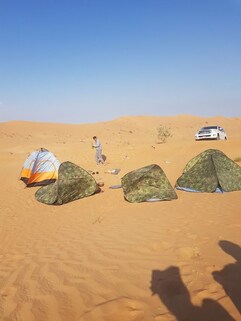 Embark on a Desert Safari